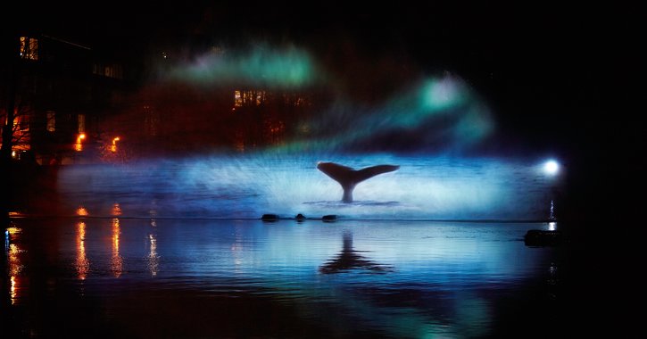 Mysticète - The Baleen whale 3D projection 
